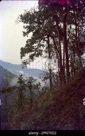 Gangtok ist die Hauptstadt des bergigen nordindischen Bundesstaates Sikkim. Stockfoto