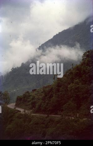 Thimphu, die Hauptstadt Bhutans, befindet sich in einem Tal im westlichen Landesinneren. Die Stadt ist nicht nur der Regierungssitz, sondern auch für ihre buddhistischen Stätten bekannt. Das riesige Tashichho Dzong ist ein befestigtes Kloster und ein Regierungspalast mit Blattgolddddächern. Das Memorial Chorten, ein weiß getünchtes Bauwerk mit einem goldenen Turm, ist ein verehrter buddhistischer Schrein, der dem dritten König von Bhutan, Jigme Dorji Wangchuck, gewidmet ist. Stockfoto