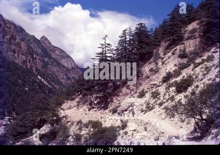 Gomukh ist 18 km von Gangotri entfernt in den Ausläufern von Bhagirathi auf einer Höhe von 4255m m. Es ist die Schnauze des Gangotri-Gletschers. Sie überqueren unbenannte Bäche, hüpfen über Felsbrocken und werden ständig von atemberaubenden Blicken auf schneebedeckte Berge begleitet. Der Pfad beginnt hinter dem GMVN Rest-House, wo Sie etwas klettern, um den Pfad zu erreichen. Stockfoto