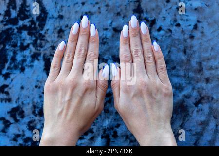 Weibliche Hände sind neben einer wunderschönen, farbigen französischen Maniküre in Weiß und Blau auf einem samtigen, verschwommenen Hintergrund gefaltet. Stockfoto