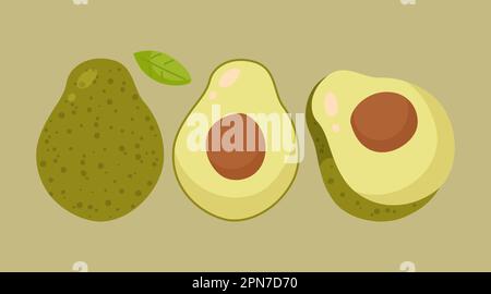 Verschiedene Ansichten des Schnittavocado-Vektorensatzes Stock Vektor