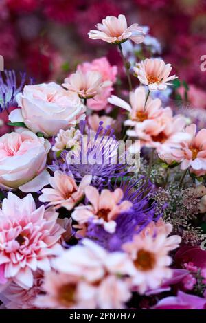 Nahaufnahme einer Auswahl rosa und lila Blumen Stockfoto