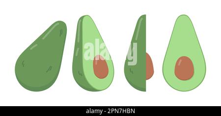 Verschiedene Ansichten von Avocado-Vektorbildern Stock Vektor
