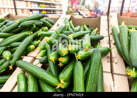 Frische Bio-Gurken zum Verkauf in einem Supermarkt Stockfoto