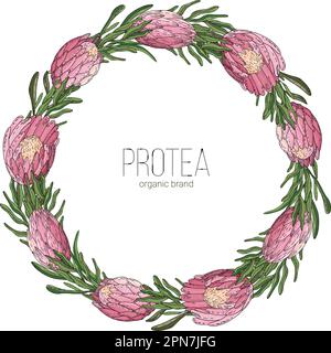 Handgezeichneter Blumenrahmen mit Blumen, König Protea, Ast und Blättern. Elegante Logo-Vorlage. Stock Vektor