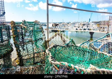 Crab Pots am Kai am Poole Harbour in Dorset, Großbritannien Stockfoto