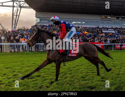 Aktenfoto von 27-12-2021 von Kitty's Light, einer von 31 Pferden, die nach der Konfirmationsbühne für das Coral Scottish Grand National am Samstag auf ihrem Platz stehen. Ausgabedatum: Montag, April 17,2023. Stockfoto