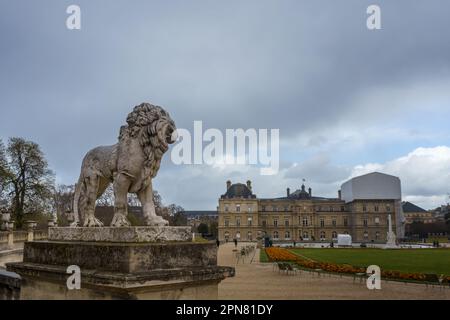 Löwenstatue mit Blick auf den Palazzo Luxembourg im Jardin du Luxembourg, Paris, Frankreich. 24. März 2023. Stockfoto