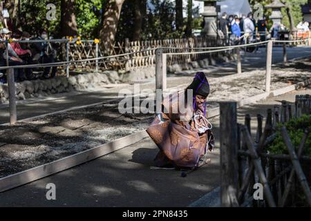 Beim Kamakura Festival 65. in Kamakura erobert der offizielle Yabusame-Turnier (japanisches Reitbogenschießen) einen verpassten Pfeil. Zum ersten Mal nach 4 Jahren kehrt das Kamakura Festival zurück, und damit auch das Yabusame-Turnier (japanisches Bogenschießen). Yabusame ist eine Sportveranstaltung, deren Ursprünge bis 300 v. Chr. (Jomon-Zeit) zurückreichen. Zuerst zu Fuß, dann aus dem 4. Jahrhundert, begannen die Konkurrenten, Pferde zu benutzen. Ursprünglich schossen die Bogenschützen in Duellen aufeinander. Heute werden Ziele verwendet. Stockfoto