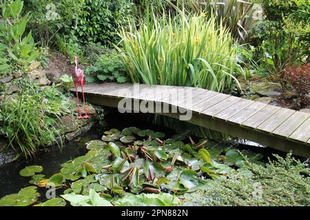 Eine schmale Holzbrücke über einem formellen Gartenteich. Stockfoto