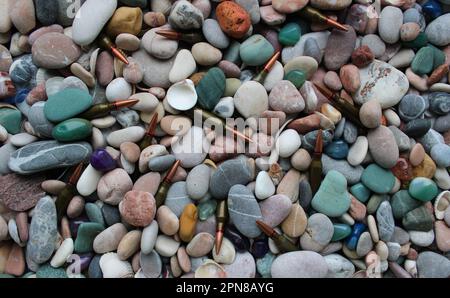 Muster von lebender Munition, die zwischen Seekies und Muscheln verstreut ist, Draufsicht Stockfoto