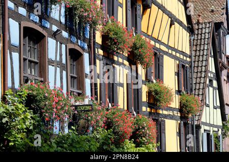 Farbenfrohe traditionelle Fachwerkhäuser des Elsass im Dorf Riquewihr. Elsass. Frankreich. Stockfoto