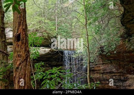 Ein teilweiser Blick auf den Wasserfall, der sich über den Rand der Felsenklippen oben mit den Wäldern im Hintergrund erstreckt, an einem hellen Tag im Frühling Stockfoto