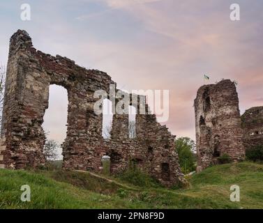 Buchach Burgruine mit ukrainischen Flagge, Oblast Ternopil, Ukraine. Aus dem 14. Jahrhundert. Stockfoto
