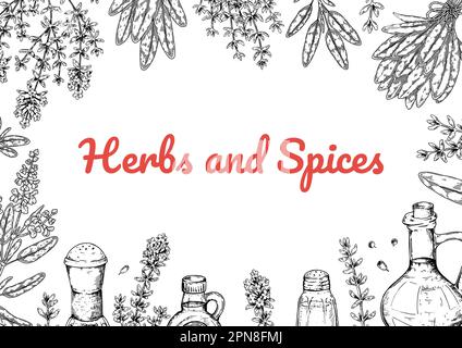Horizontales Design für Kräuter und Gewürze. Zeichnen Sie den Hintergrund mit der Hand, und kochen Sie Zutaten im Skizzenstil. Detaillierte Vektordarstellung Stock Vektor