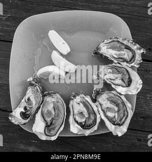 Frische Austern und Zitrone auf der ukrainischen Austernfarm in der Tiligul-Mündung Stockfoto