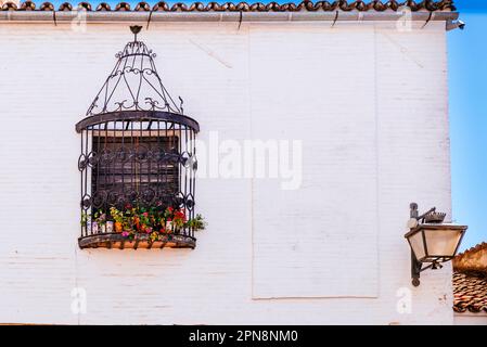 Fenster eines alten Zafra-Hauses mit künstlerischem, handgefertigten Eisengrill. Zafra, Badajoz, Extremadura, Spanien, Europa Stockfoto