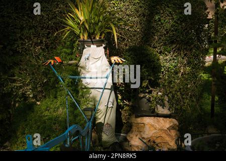 Scarecrow steht im Garten hoch in seiner umweltfreundlichen Kleiderschürze, farbigen Handschuhen und einem grünen Pflanzentopf als Kopf. Ein Symbol für nachhaltiges Leben, Ökologie, Recycling, Nachhaltigkeit, Wiederverwendung, Konzept. Stockfoto