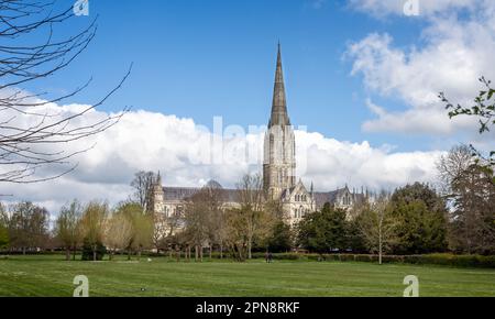 Blick auf die Kathedrale von Salisbury vom West Walk, Salisbury, Wiltshire, Großbritannien, am 15. April 2023 Stockfoto