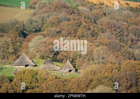 Iron Age Huts in Woodland, Castell Henllys, Pembrokeshire, Wales, Großbritannien Stockfoto