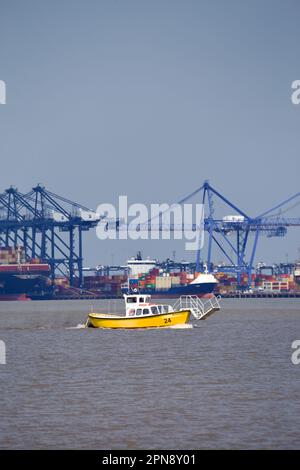 Harwich Harbour Ferry bei der Arbeit in Harwich Haven. Stockfoto