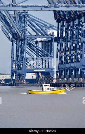 Harwich Harbour Ferry bei der Arbeit in Harwich Haven. Stockfoto