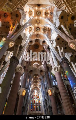 Das Innere der Basilika Sagrada Familia in Barcelona, Spanien Stockfoto