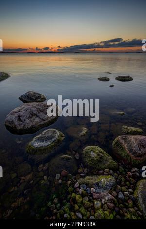 Wunderschöner Blick auf grüne Algen auf Felsen und Kieseln und die Ostsee in Hanko, Finnland, bei Sonnenuntergang im Sommer. Stockfoto