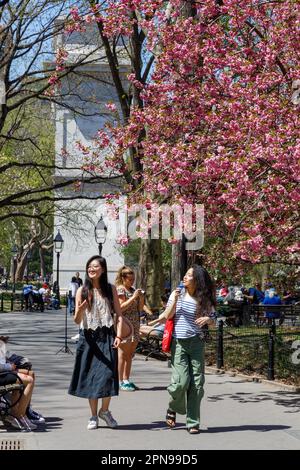 Frauen wandern, Frühlingswetter genießen, Washington Square Park, Greenwich Village, New York City. Stockfoto