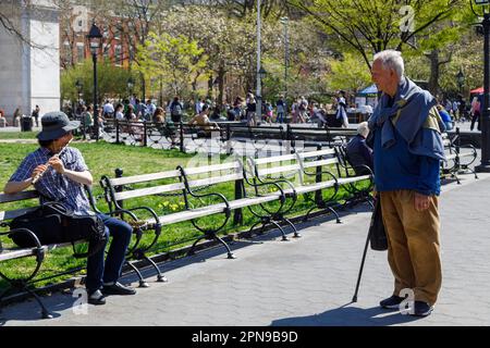 Die Massen genießen den Washington Square Park an einem schönen Frühlingstag, Greenwich Village, New York City. Der Ältere sieht dem jüngeren Mann beim Flötenspielen zu. Stockfoto