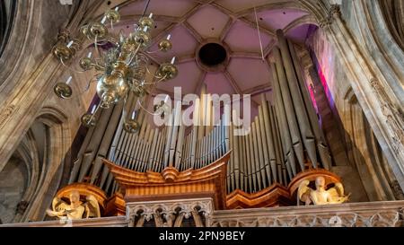 Orgel in St. Stephansdom oder Stephansdom Wien Österreich Stockfoto