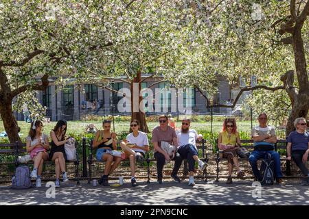 Die Massen genießen den Washington Square Park an einem schönen Frühlingstag, Greenwich Village, New York City. Stockfoto