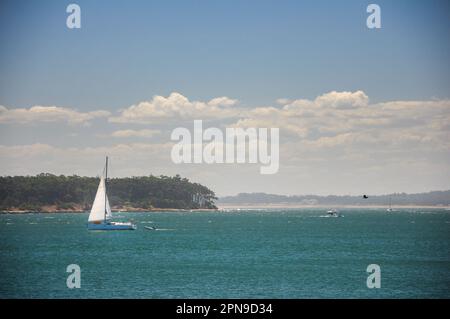 Segeln Sie mit dem Segelboot vor der Isla Gorriti in der Bucht von Maldonado an einem Tag mit einigen Wolken am Himmel Stockfoto