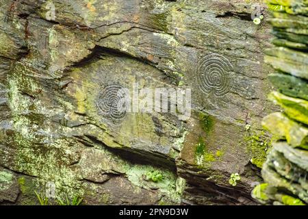 Schnitzereien aus der frühen Bronzezeit in der Nähe der Thewethet Mill im Rocky Valley bei Tintagel Cornwall Stockfoto