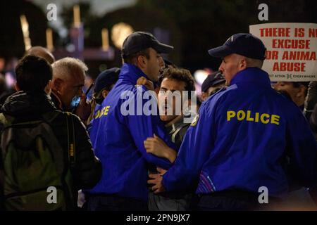 Protest veganischer Aktivisten gegen Tiermissbrauch und Fleischkonsum während der Osterfeierlichkeiten, während Polizisten in blauer Uniform sie zurückdrängen. Stockfoto