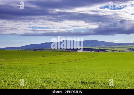 Entdecken Sie die Landschaft um Mateur in Tunesien Stockfoto