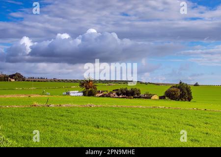 Entdecken Sie die Landschaft um Mateur in Tunesien Stockfoto