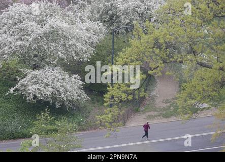 New York, Usa. 17. April 2023. Ein Läufer bewegt sich am Montag, den 17. April 2023, durch den Central Park, während Bäume und Blumen in der Frühlingssaison in New York City blühen. Foto: John Angelillo/UPI Credit: UPI/Alamy Live News Stockfoto