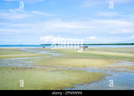 Santo Amaro, Bahia, Brasilien - 15. Mai 2022: Blick auf Itapema Beach an einem sonnigen Tag. Stadt Santo Amaro in Bahia. Stockfoto