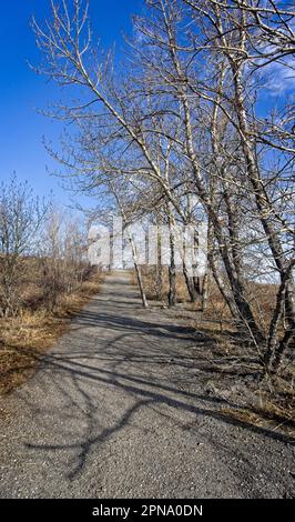 Nose Hill Park Calgary Alberta Stockfoto