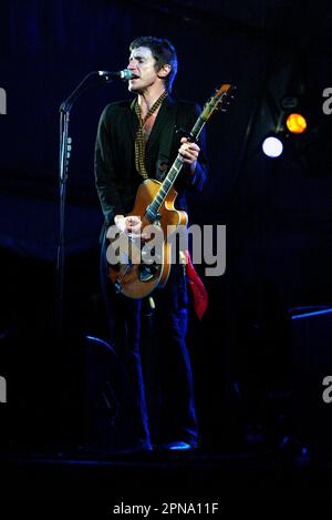 Tim Rogers von Ihnen bin ich live beim Big Day Out Musikfestival. Sydney Showground, Homebush, Sydney, Australien. 25.01.07. Stockfoto