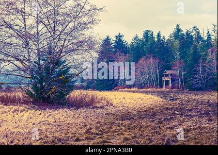 Mündungsgebiet im Erholungsgebiet Starrigavan bei Sitka, Alaska, USA. Stockfoto