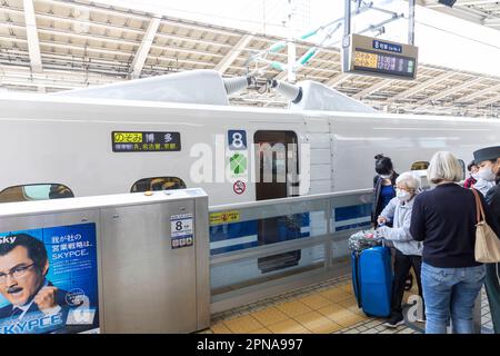 Am 2023. April warten die Passagiere am Bahnsteig Tokio, Japan, auf die grüne Kutsche 8 des Shinkansen-Schnellzugs Stockfoto