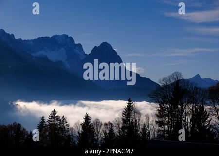 Zugspitze und Wetterstein, von Pfeiffer Alm, von Schlattan bei Garmisch-Partenkichen, Werdenfelser Land, Oberbayern, Bayern, Deutschland Stockfoto