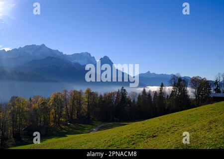 Zugspitze und Wetterstein, von Pfeiffer Alm, von Schlattan bei Garmisch-Partenkichen, Werdenfelser Land, Oberbayern, Bayern, Deutschland Stockfoto