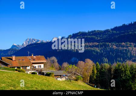 Pfeiffer Alm, Schlattan bei Garmisch-Partenkichen, Werdenfelser Land, Oberbayern, Bayern, Deutschland Stockfoto