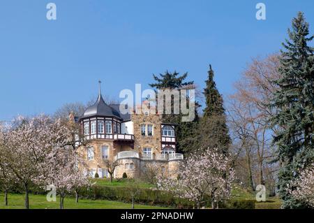 Villa Emilienruhe, ehemaliges Kinderheim, Bad Bergzabern, Deutsche Weinstraße, Pfalz, Rheinland-Pfalz, Deutschland Stockfoto