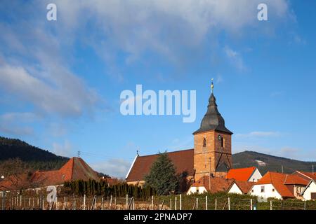 Dorfblick Burrweiler, Besuchskirche, Burrweiler, Südpfalz, Pfalz, Rheinland-Pfalz, Deutschland Stockfoto