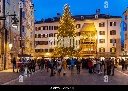 Innsbruck zur Weihnachtszeit, festlich beleuchtetes Stadtzentrum mit Goldenes Dachl und Weihnachtsbaum, Innsbruck, Tirol, Österreich Stockfoto