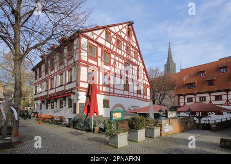 Fachwerkhaus Restaurant Lochmuehle und Turm der Ulmer Kathedrale, Gerbergasse, Fischerviertel, Ulm, Baden-Württemberg, Deutschland Stockfoto